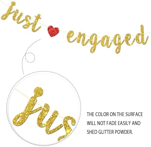 Dill-Dall Just Engaged Party Banner
