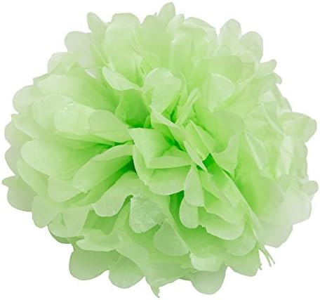 WYZworks 6 Pack Tissue Pom Poms Decorations