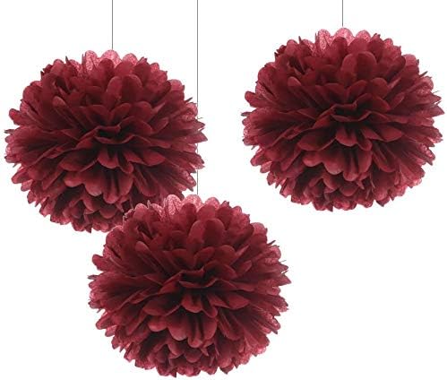 Furuix 2025 Graduation Party Decor Honeycomb Balls