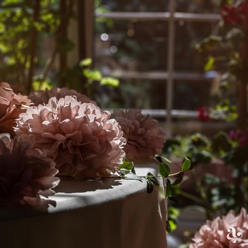 Boho Paper Pom Poms in Blush Pink Tissue