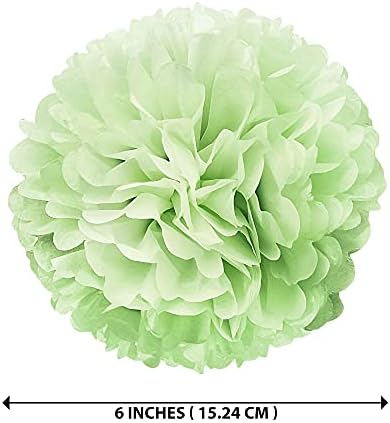WIRESTER 5 Pcs 6 Inch Light Green Tissue Paper Flower Pom Poms