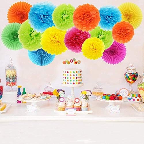 PINSUKO Paper Pom Poms and Fans Set of 20