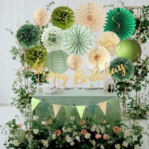 Sage Green Birthday Decorations Fans Pom Poms Lanterns Garland