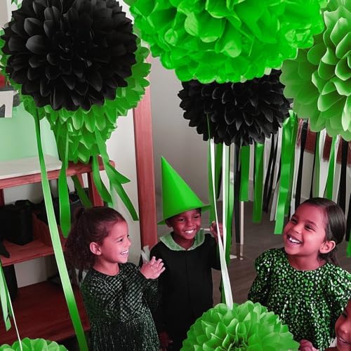 Capesaro Black Green Tissue Paper Pom Poms 12PCS Decorations