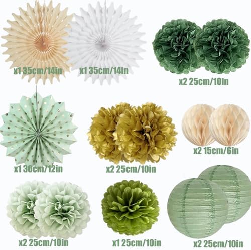 Sage Green Party Decorations Tissue Pom Poms Garland Fans Lanterns
