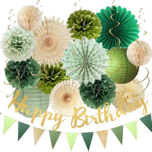 Sage Green Birthday Decorations Fans Pom Poms Lanterns Garland