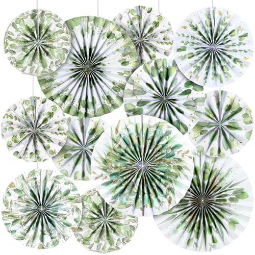 18 Pcs Eucalyptus Paper Fans Classroom Decor Set