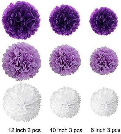 Wartoon Tissue Paper Pom Poms Flowers Set 12PCS