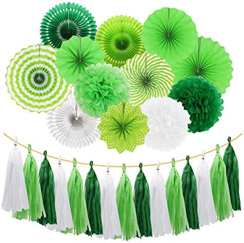 Green White Party Decorations Set Fans Pom Poms Tassels Garland