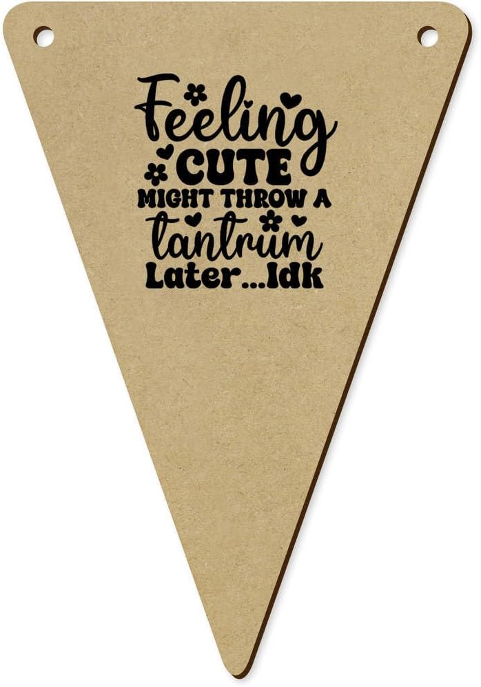 5 x 140mm Cute Funny Quote Wooden Bunting Flags BN00087351