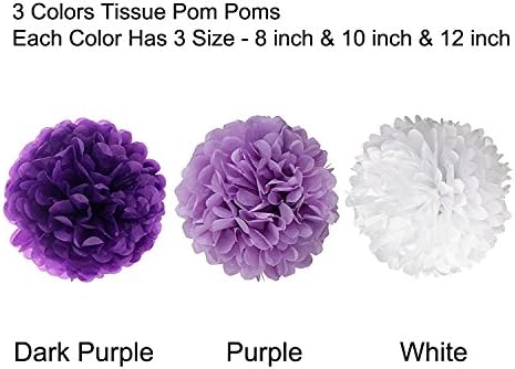 Wartoon Tissue Paper Pom Poms Flowers Set 12PCS
