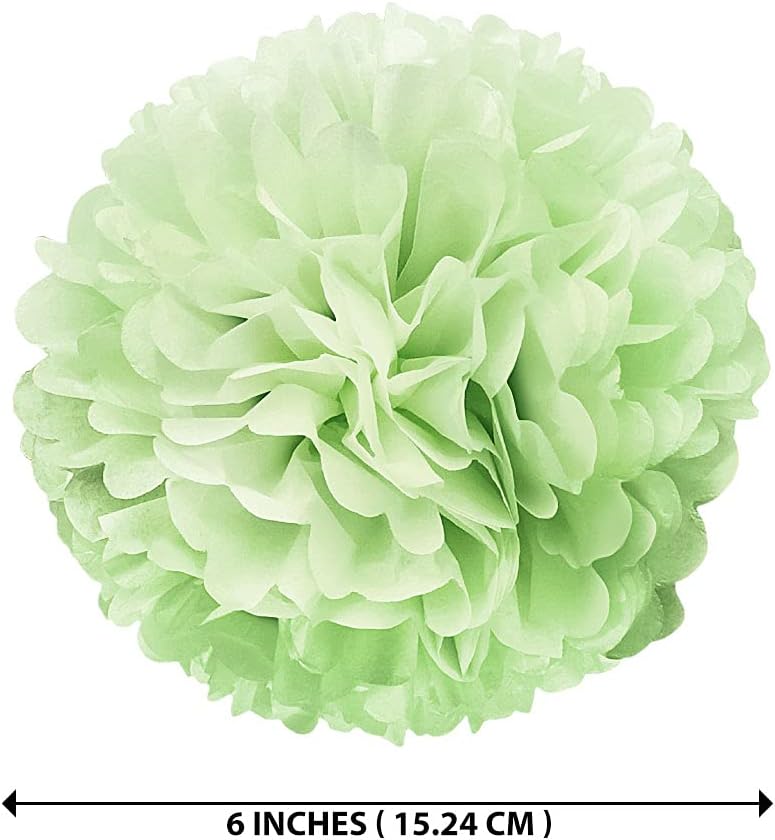 WIRESTER 5 Pcs 6 Inch Light Green Tissue Paper Flower Pom Poms