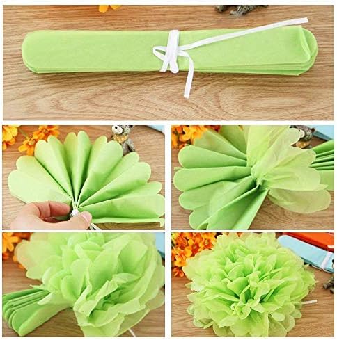 PINSUKO Paper Pom Poms and Fans Set of 20