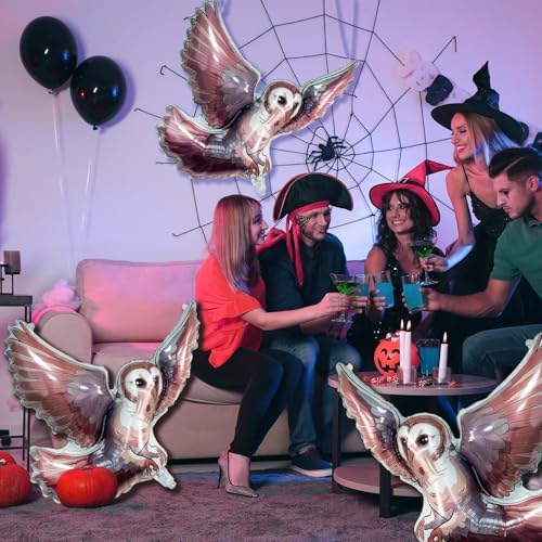 FZR Legend 1 Pack Magical Wizard Owl Balloons