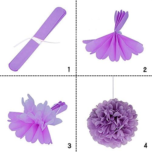 Wartoon Tissue Paper Pom Poms Flowers Set 12PCS