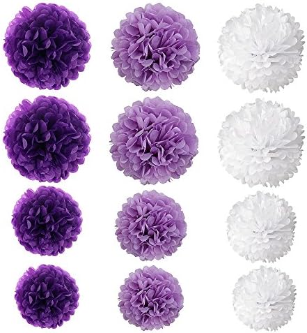 Wartoon Tissue Paper Pom Poms Flowers Set 12PCS