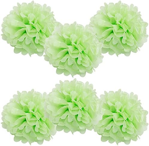 WYZworks 6 Pack Tissue Pom Poms Decorations