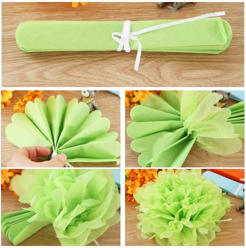 PINSUKO Paper Pom Poms and Fans Set of 20