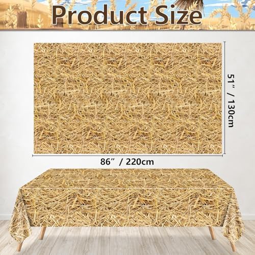 12Pcs Straw Tablecovers Western Theme Party Decorations