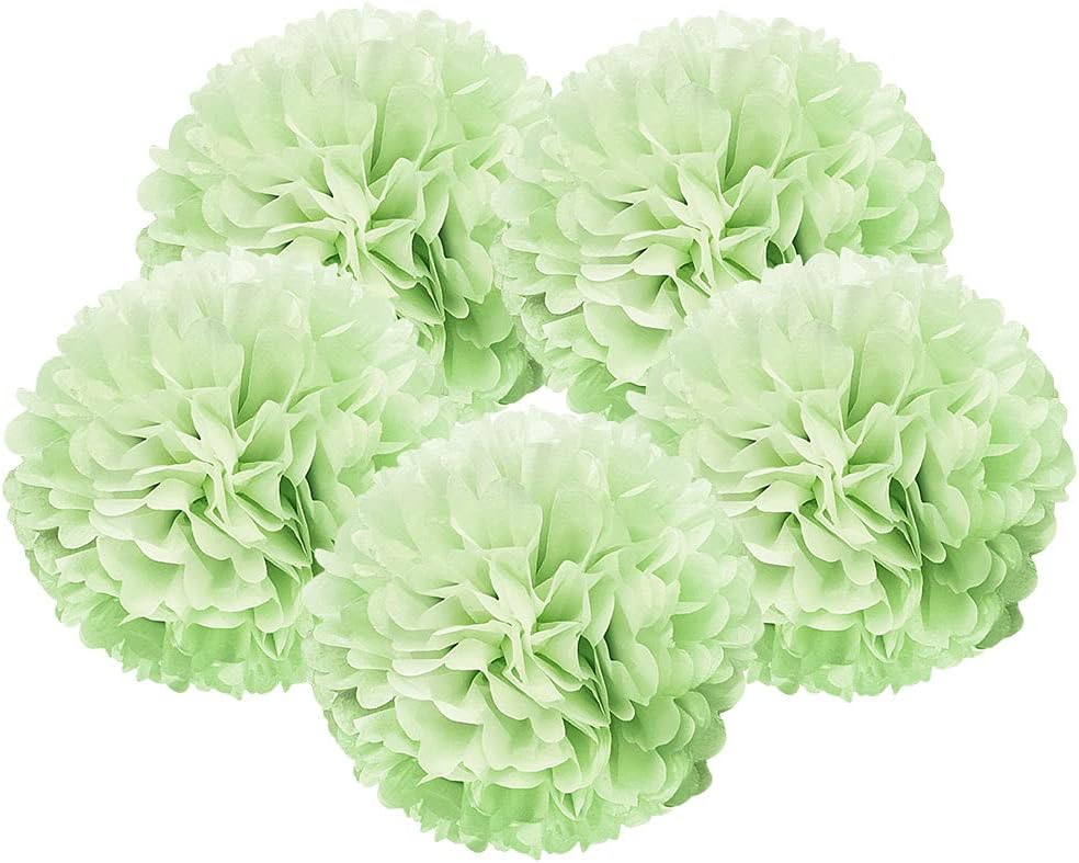 WIRESTER 5 Pcs 6 Inch Light Green Tissue Paper Flower Pom Poms