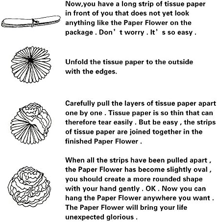 Wartoon Tissue Paper Pom Poms Flowers Set 12PCS