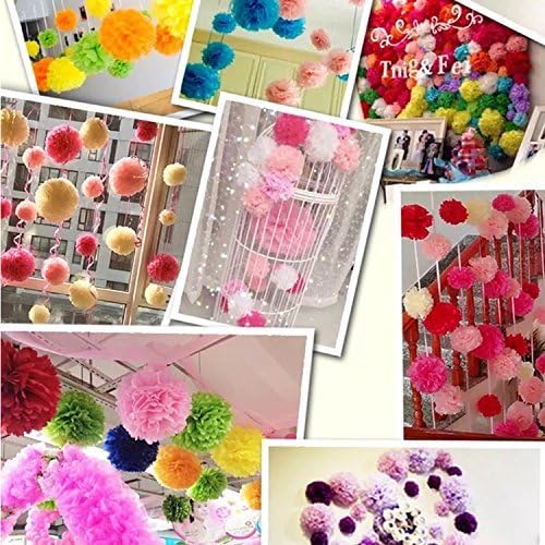 PINSUKO Paper Pom Poms and Fans Set of 20
