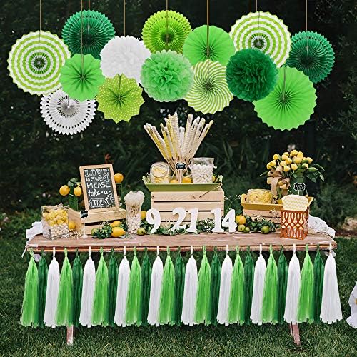 Green White Party Decorations Set Fans Pom Poms Tassels Garland