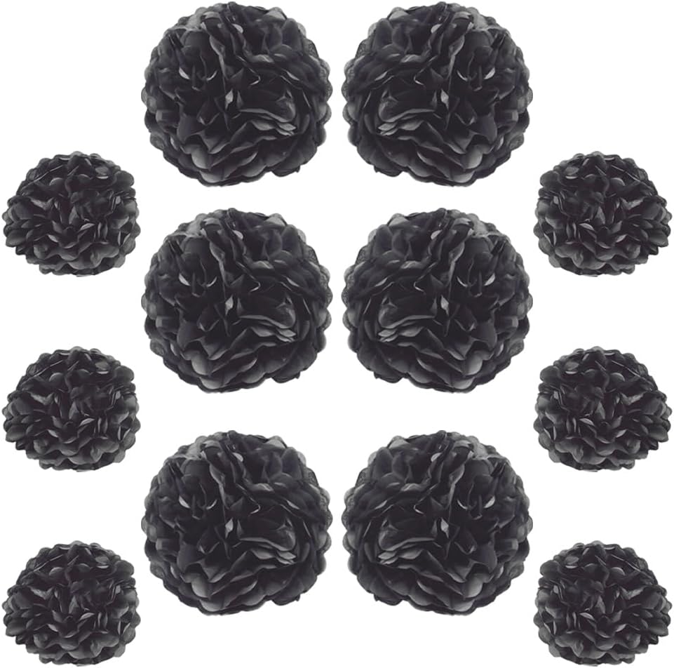 Ruidee 12 Piece Tissue Paper Pom Poms Decorations