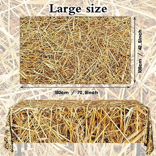 3pcs Farm Style Tablecovers for Western and Hawaiian Parties
