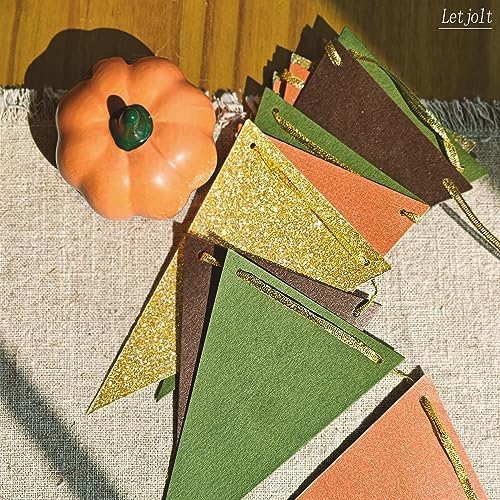 Letjolt Triangle Banner Party Decoration 10ft 15pcs