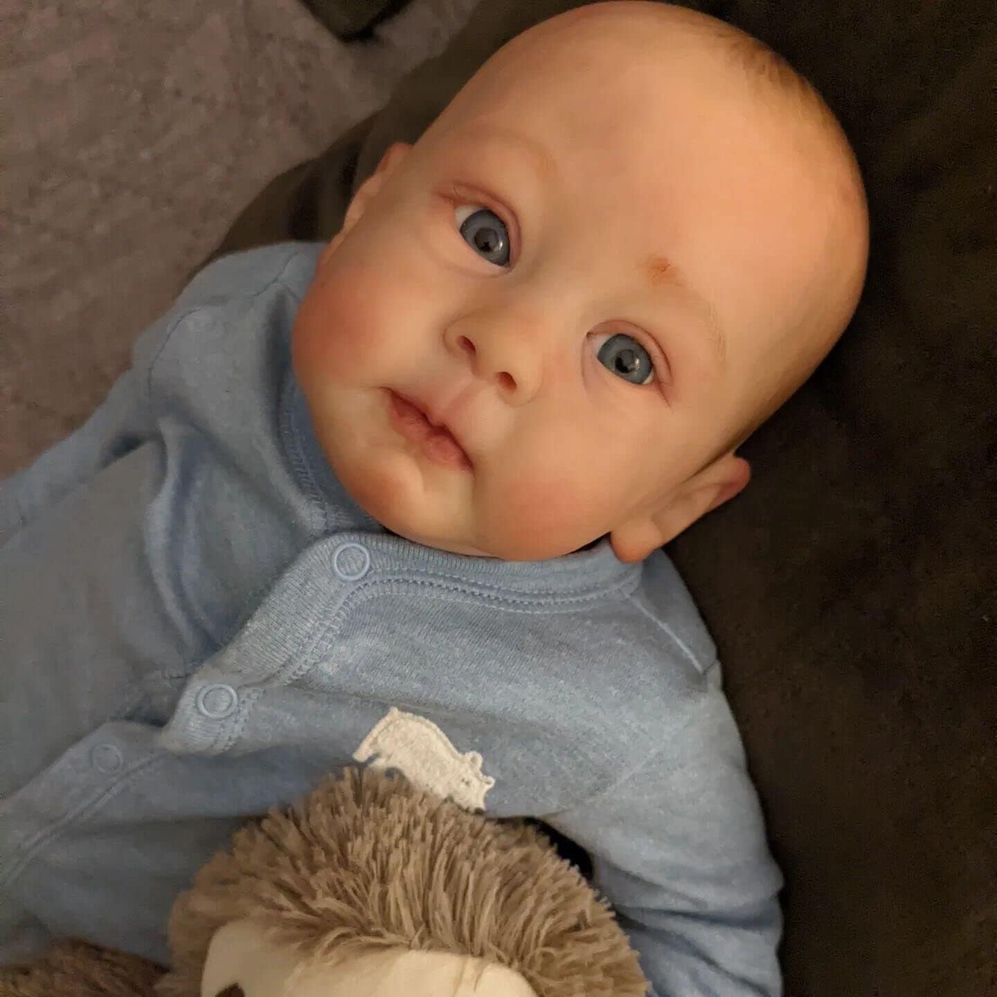 Anano Reborn Toddler Boy 23 Inch Realistic Silicone Doll Set