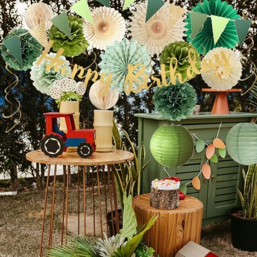 Sage Green Birthday Decorations Fans Pom Poms Lanterns Garland