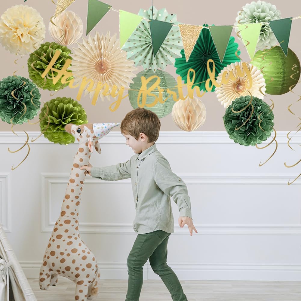 Sage Green Birthday Decorations Fans Pom Poms Lanterns Garland