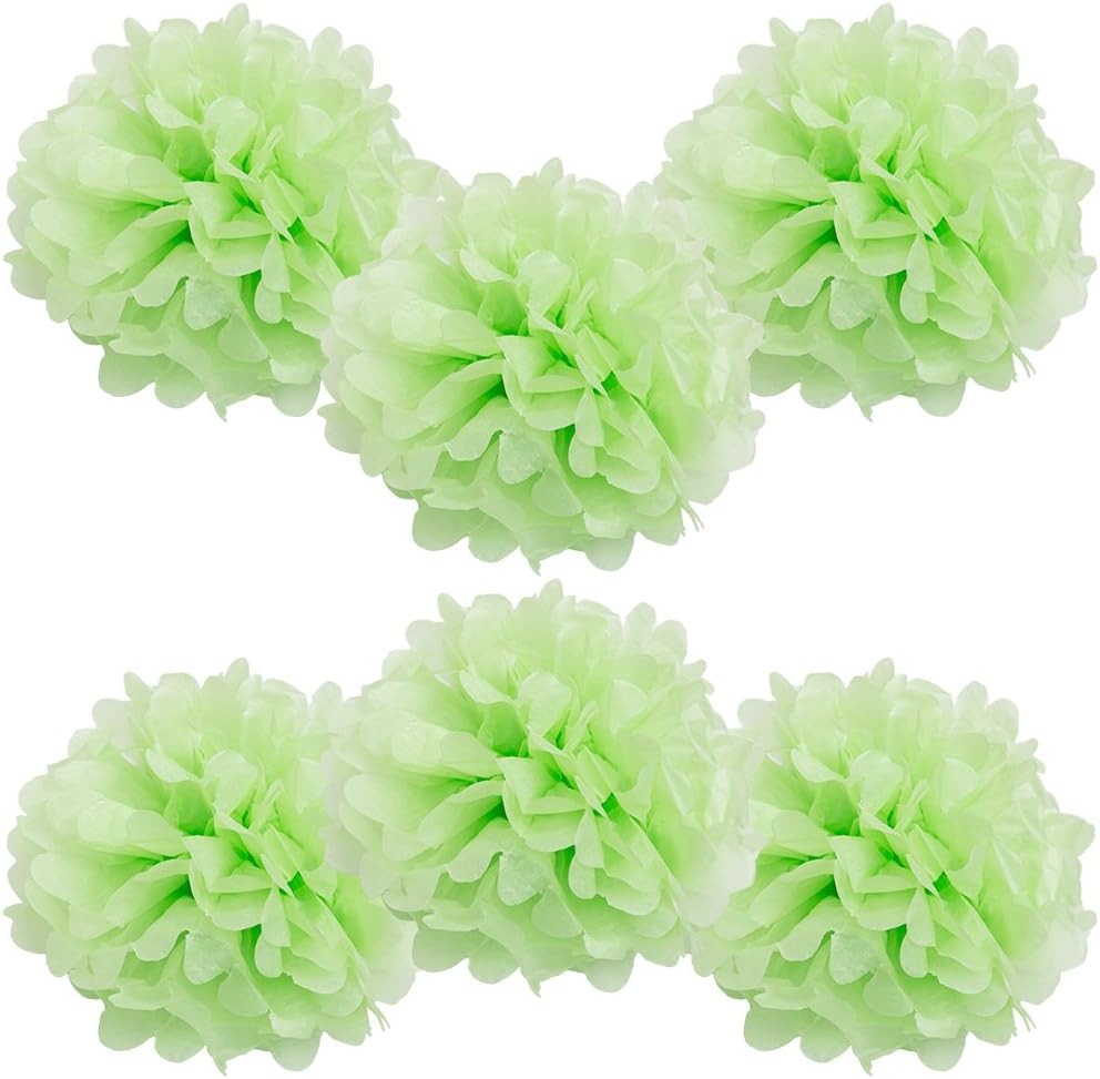 WYZworks 6 Pack Tissue Pom Poms Decorations