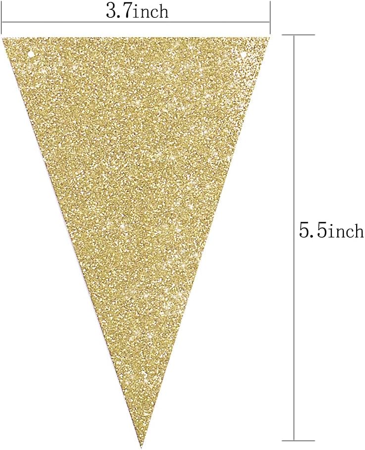 Letjolt Triangle Banner Party Decoration 10ft 15pcs