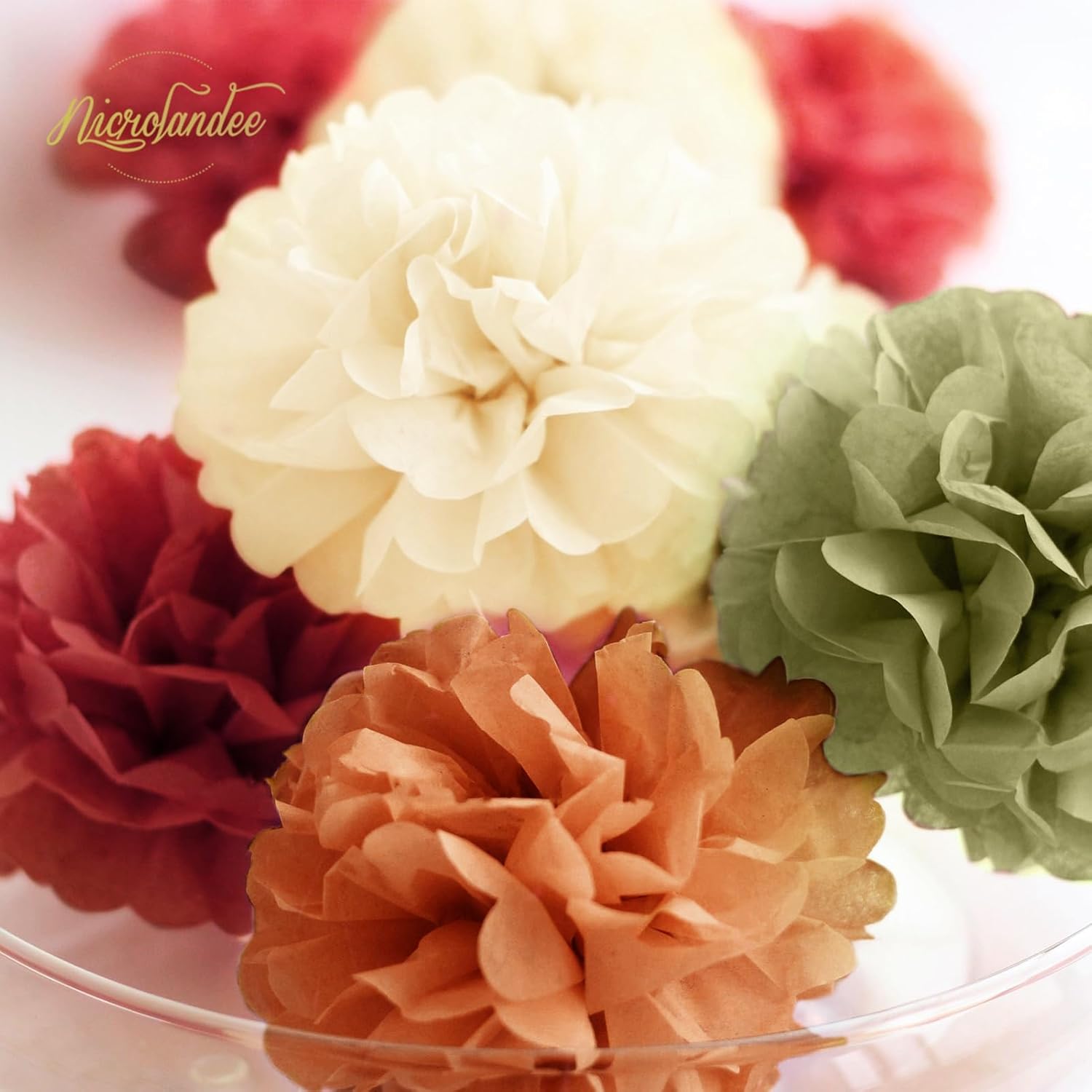 NICROLANDEE Fall Tissue Pom Poms Decorations 12 PCS