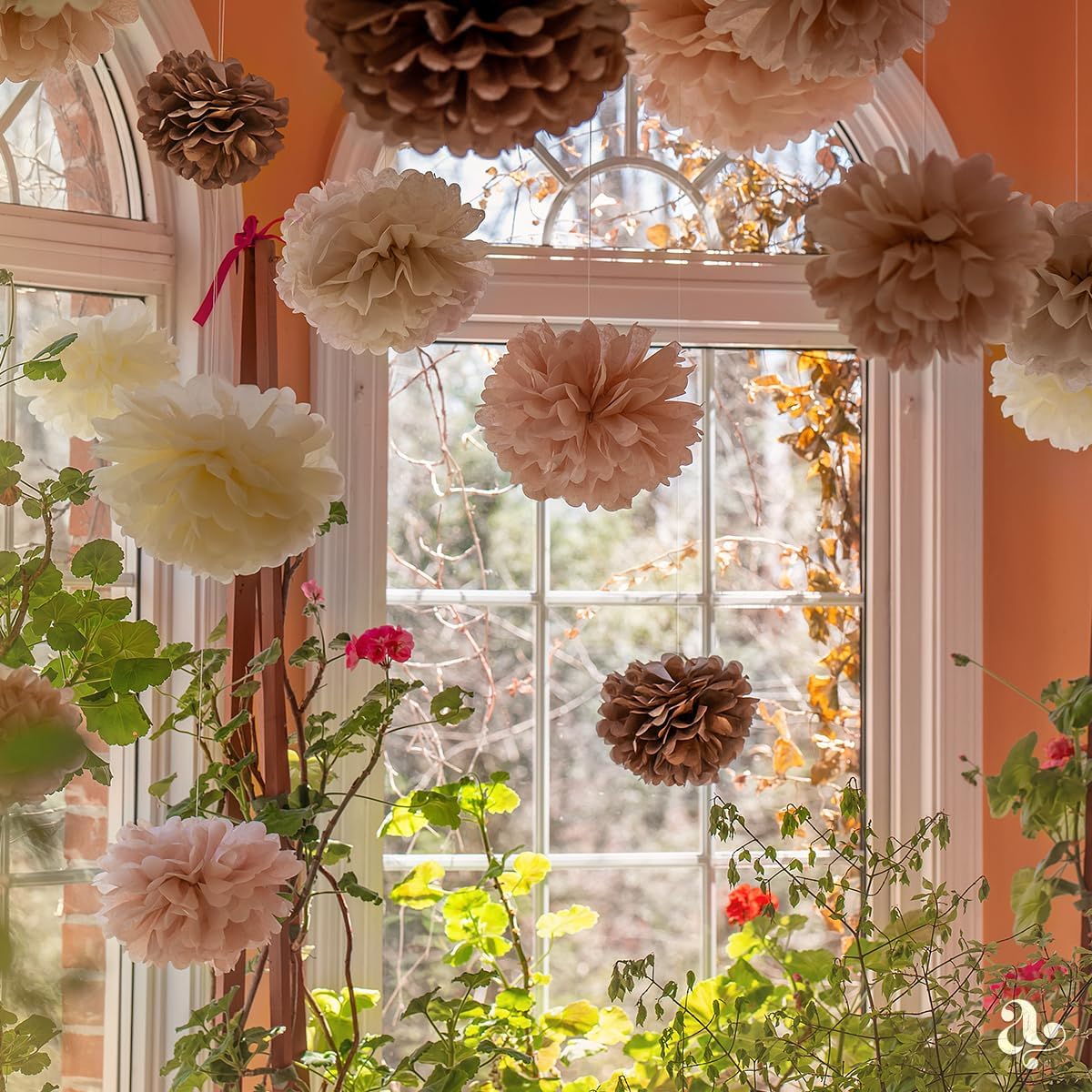 Boho Paper Pom Poms in Blush Pink Tissue
