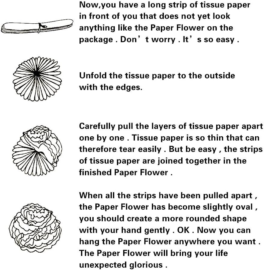 Wartoon Tissue Paper Pom Poms Flowers Set 12PCS