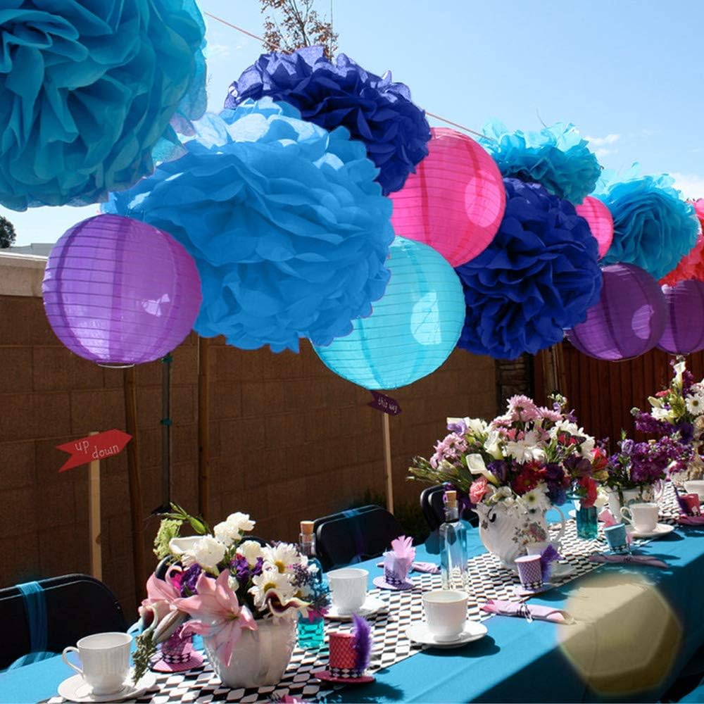 Binpeng Paper Pom Poms Wedding Party Decorations 6PCS